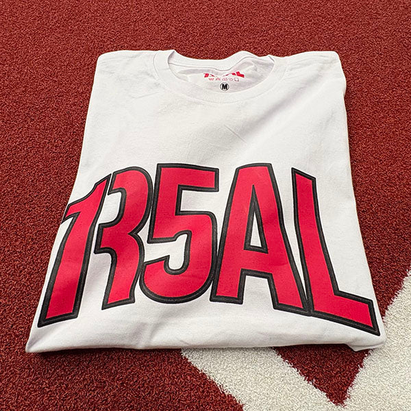 Camiseta R5AL PINK26
